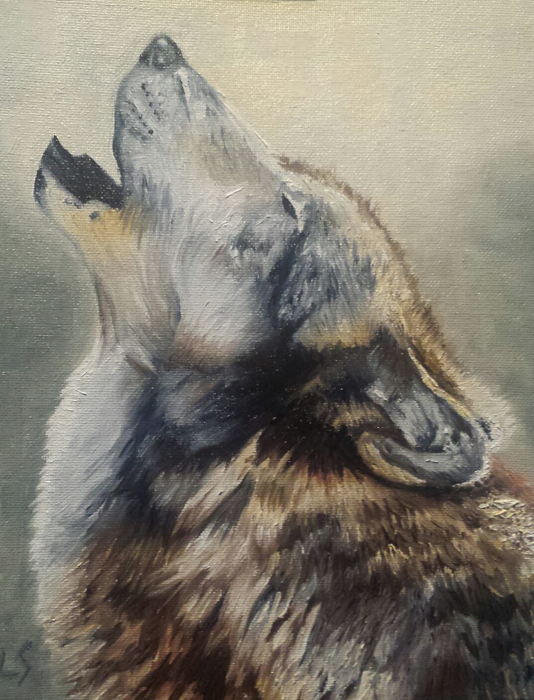 animals1