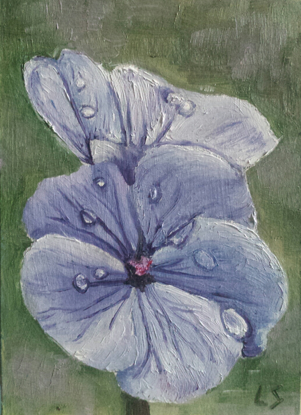 flowers1