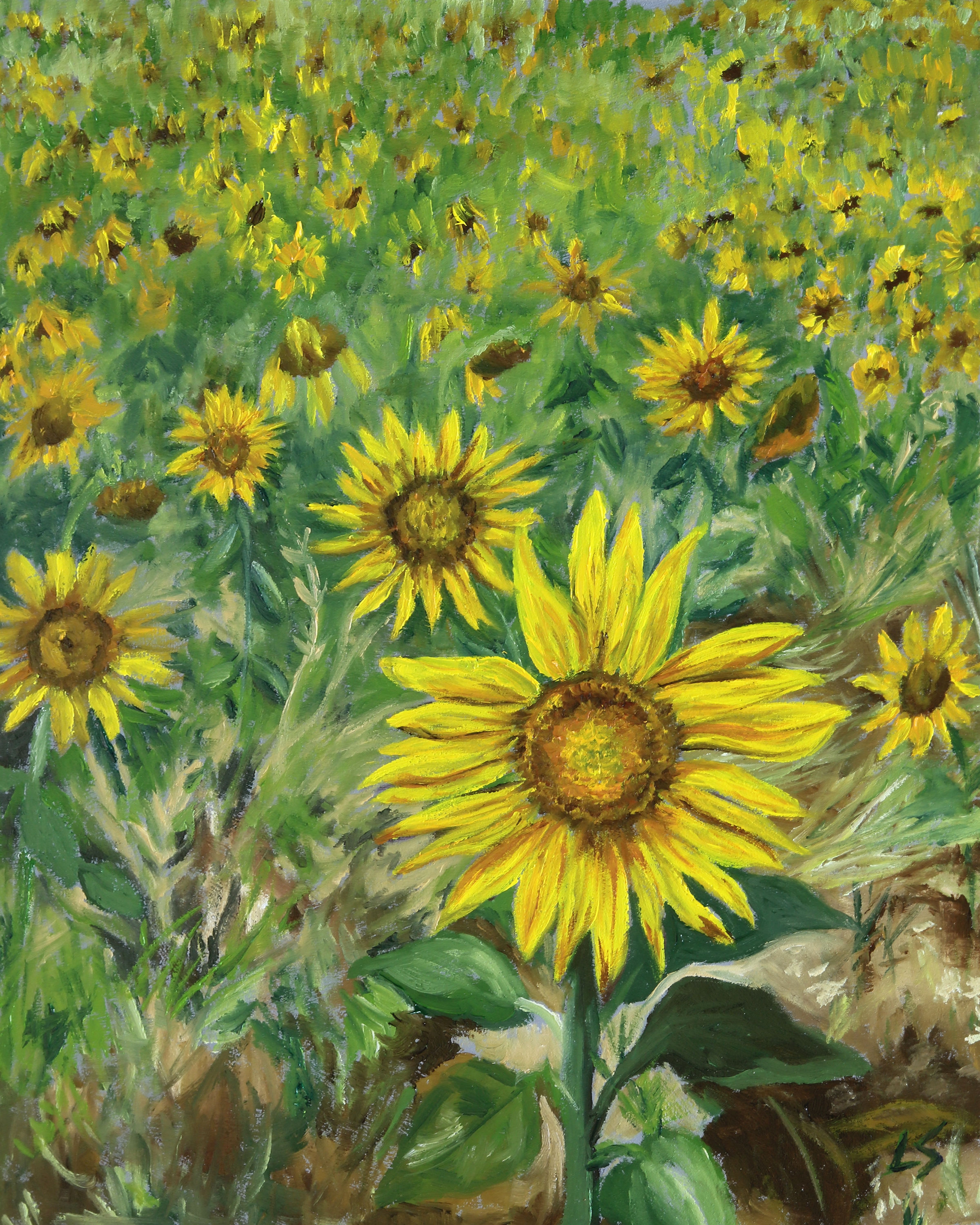 flowers4