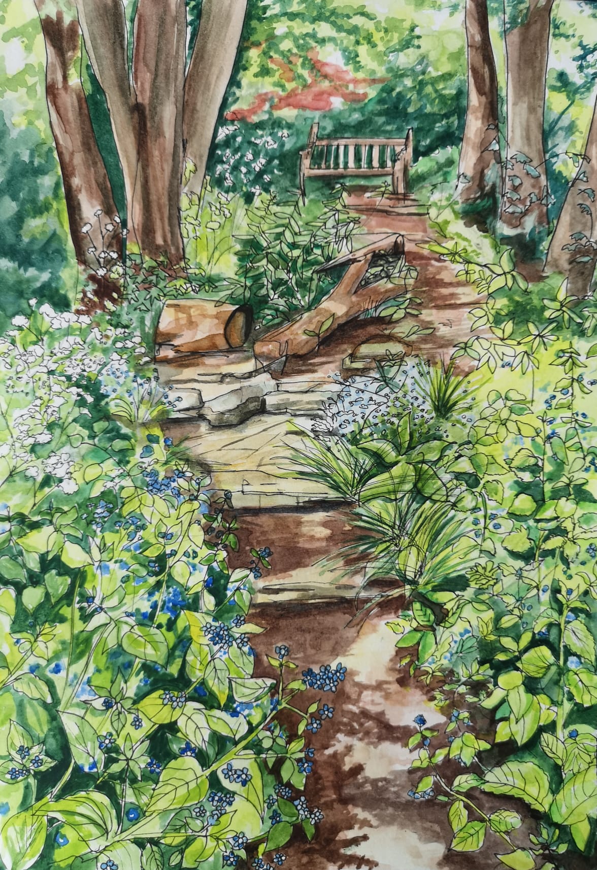 forest bench